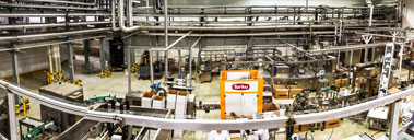 Chocolate Production Facilities