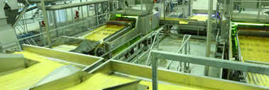 مصنع إنتاج فرايز البطاطا المجمدة