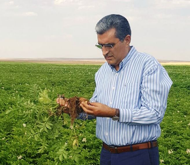 KONYA ŞEKER’DEN PATATES ÜRETİCİLERİNE HASAT ÖNCESİ BAKIM AVANSI