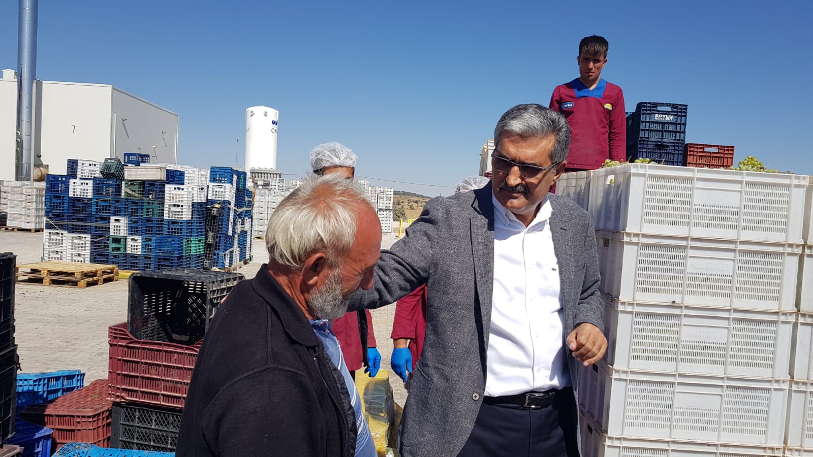 TORKU İLE ÇİFTÇİNİN YÜZÜ GÜLÜYOR, KONYA’DA ÜZÜM BAĞLARI BÜYÜYOR