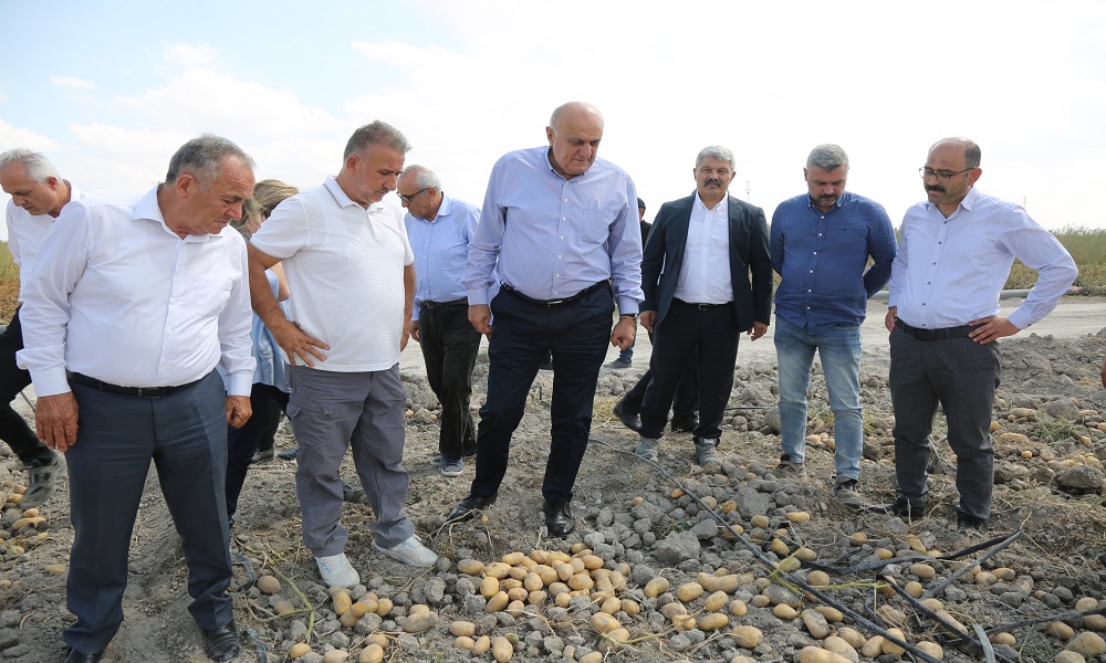 BAŞKAN ERKOYUNCU: “2027 YILINDA PATATES TOHUMUNDA DIŞA BAĞIMLILIK BİTECEK”