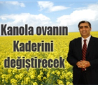 Kanola ovanın kaderini değiştirecek.