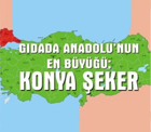 Konya Şeker, Anadolu'nun en büyüğü.