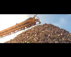 Torku - Çiftçi Sütü Reklam Filmi