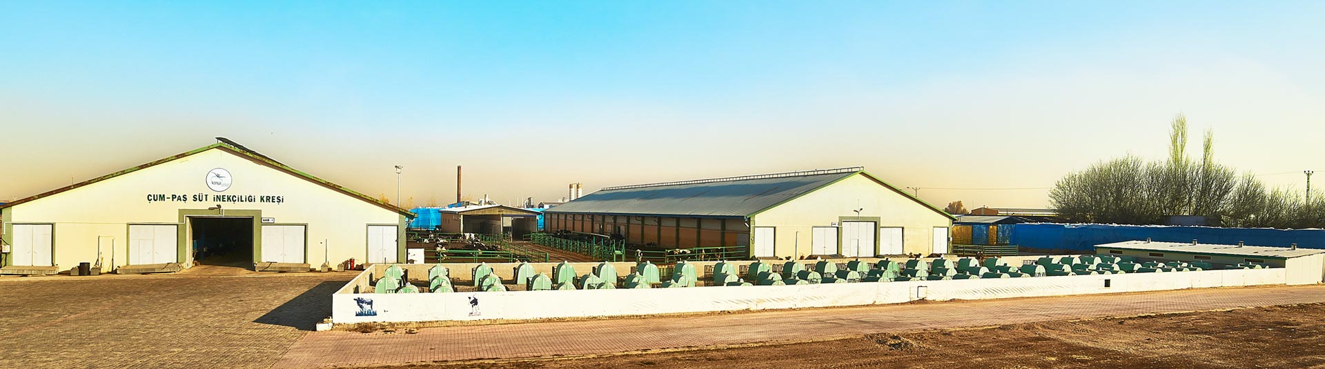 Cumpas – Cattlebank Milk Production Ranch - Konya Şeker