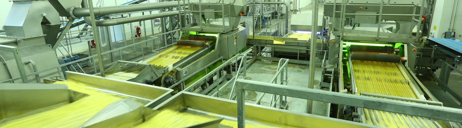 Dondurulmuş Parmak Patates Üretim Tesisi - Konya Şeker