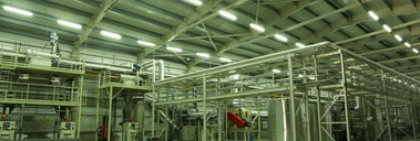 Potato Starch Production Plant