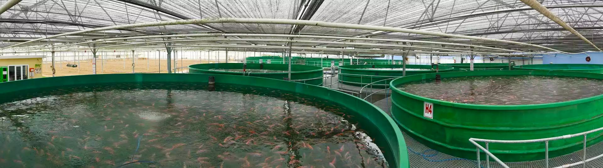 Fish Farming Plant